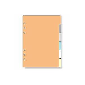 レイメイ ダ・ヴィンチ システム手帳 リフィル A5サイズ カラーインデックス(6区分) DAR50...