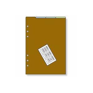 ダ・ヴィンチ リフィル アクセサリー カラーインデックス A5 DAR508 レイメイ藤井/メール便...