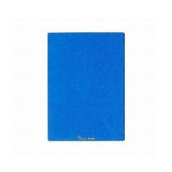 レイメイ 下敷 ブルー U140A ( ５枚)/メール便送料無料