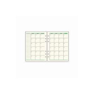 レイメイ藤井 ダ・ヴィンチ リフィル フリーマンスリー スケジュールA A5 20枚入 DAR293...