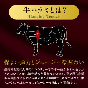業務用 やわらか牛ハラミ メガ大盛り 1kg ...の詳細画像3