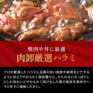 業務用 やわらか牛ハラミ メガ大盛り 1kg ...の詳細画像5