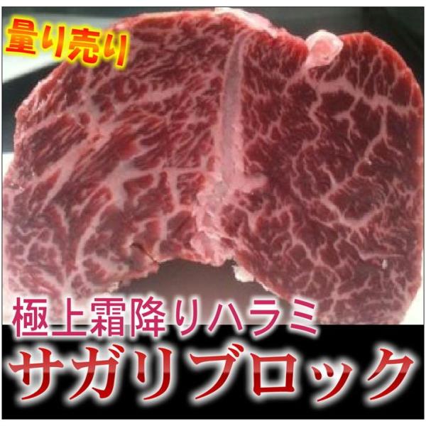 数量限定 業務用 量り売り 極上はらみサガリブロック 1ブロック 暫定重量約1.5kg前後 冷凍 焼...