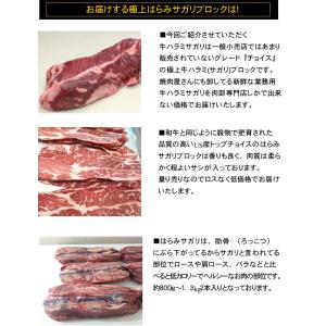 数量限定 業務用 量り売り 極上はらみサガリブ...の詳細画像2