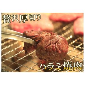 数量限定 業務用 量り売り 極上はらみサガリブ...の詳細画像3