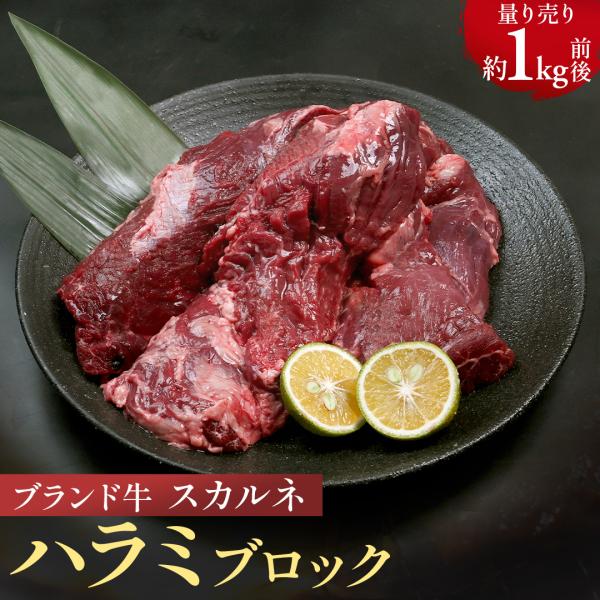 ハラミ ブロック 暫定重量約1kg スジ無し 量り売り メキシコ産 牛肉 希少部位 ハラミステーキ ...