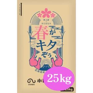 小田象製粉　春がキタぞぅ　25kg　【パン材料・強力粉・国産小麦粉・春よ恋・きたほなみ・北海道産小麦粉・食パン・ホームベーカリー・業務用】