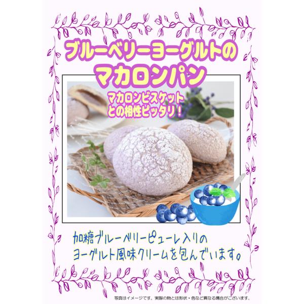 敷島製パン　冷凍生地　ブルーベリーヨーグルトP　83g×80個　【パスコ・冷凍パン・マカロン風ビスケ...