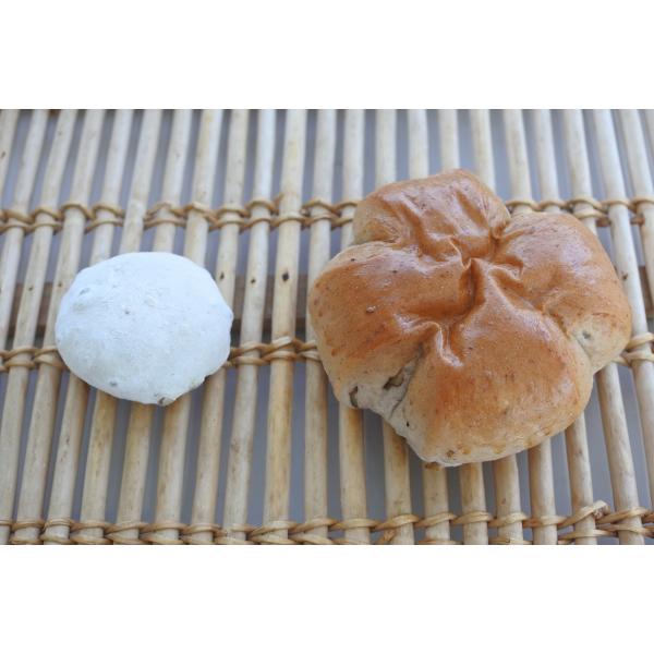 敷島製パン　冷凍生地　国産小麦のくるみ生地　75g×90個　【業務用・パスコ・敷島パン・くるみパン・...