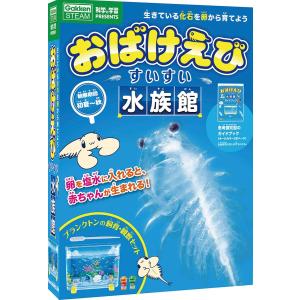 おばけえびすいすい水族館 学研ステイフル｜allpass