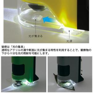 ハンディ顕微鏡 DX 100〜250倍ズーム ...の詳細画像4