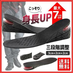 シークレットインソール インソール  3cm 5cm 7cm メンズ