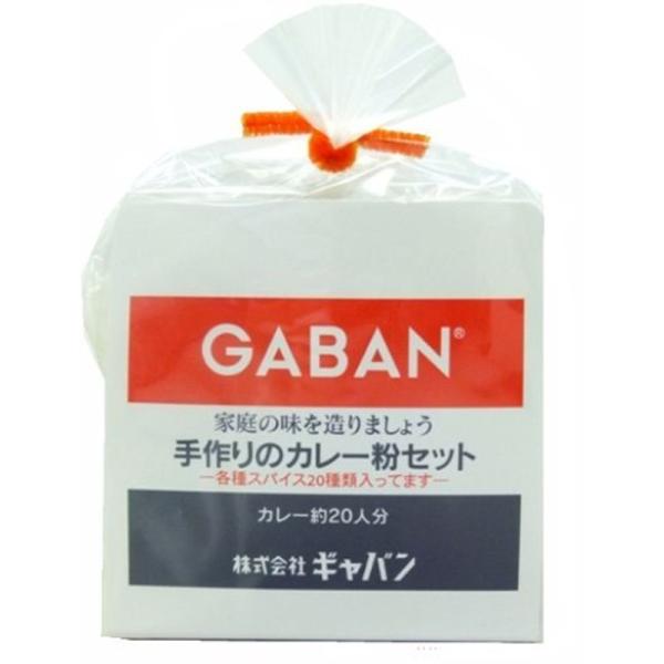 GABAN(ギャバン) 手作りのカレー粉セット (袋) 100g ×2セット