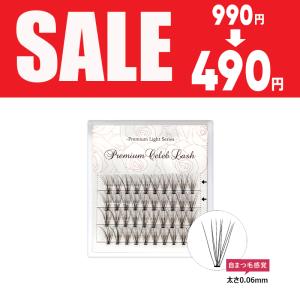 @490円 特別価格 プレミアム セレブラッシュ 10点set 10本束 20本束 ナチュラル まつげエクステ ボリュームラッシュ ボリュームアップ 束まつげ 束マツエク SALE