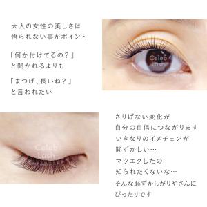 特別価格 プレミアム セレブラッシュ 10本束...の詳細画像2