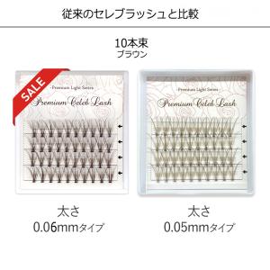 特別価格 プレミアム セレブラッシュ 10本束...の詳細画像4