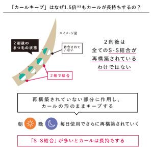 カールの持続UP カールキープ 5mL GLA...の詳細画像5