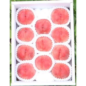 早期予約特価 山形県産 秋白桃 約3kg 7〜...の詳細画像1