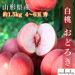 好評につき延長・予約限定価格(6/30まで)■山形県産　白桃　かた〜い桃　おどろき　約1.5kg 4〜6玉　秀　8月下旬〜