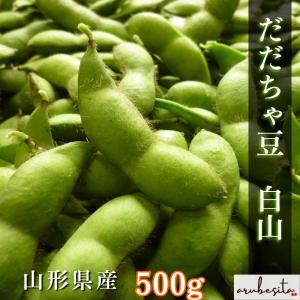 ■限定予約【農家限定朝採り直送品】 山形県鶴岡産 だだちゃ豆「白山」約500g　8月下旬頃〜