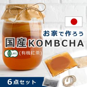 ALMARI（アルマリ） コンブチャ キット スコビー 紅茶キノコ 株 こんぶ