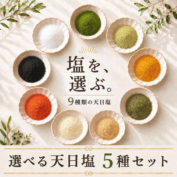 【内科医監修】選べる 天日塩 天然塩 5種セット 9種類から選べる 100g×5種 無添加 国産 ク...