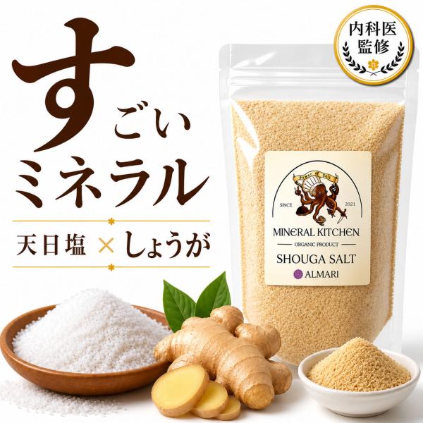 【内科医監修】天然塩 天日塩 しょうが 100g 生姜 ジンジャー 塩 しょうがパウダー 無添加 ク...