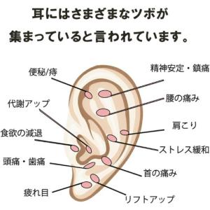 耳つぼジュエリー 耳ツボジュエリー 耳ツボシー...の詳細画像2