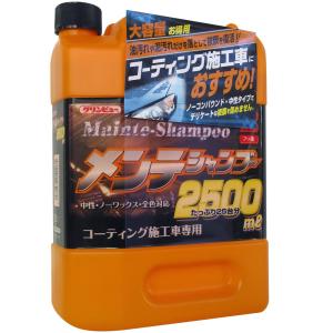 Ichinen Chemicals イチネンケミカルズ シャンプー メンテシャンプー2500｜almon-shop