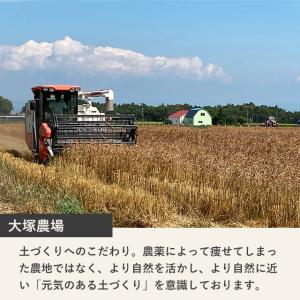 スペルト小麦粉 大塚慎太郎(全粒粉強力粉) 2...の詳細画像4