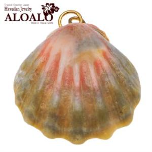 サンライズシェル ハワイの大自然が作り出した希少なサンライズシェル