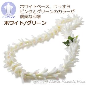 フラダンス レイ チューブローズ ロイヤル ロ...の詳細画像1
