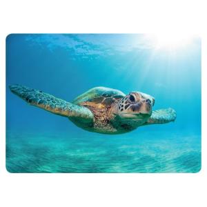 Aloha Diaries ハワイセレクトshop 文房具 事務用品 雑貨 Yahoo ショッピング