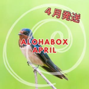 ALOHABOX 4月（クール便）｜alohafarm888