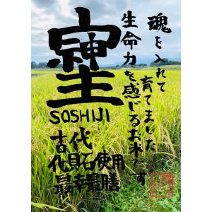 2025年産ゆうだい21 玄米20kg 2025年度産 そしじ 玄米 1kg ゆうだい21 : アロハファームYahoo!店