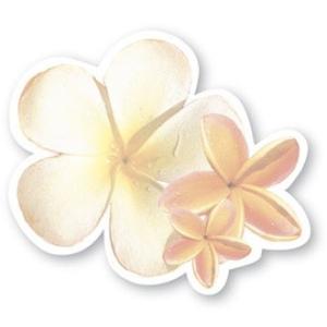 ハワイ ポストイット 付箋 貼れる メモ ハワイアン 雑貨 アイランドヘリテージ Hawaii Aloha Stick Notes Plumeria プルメリア｜alohahiyori