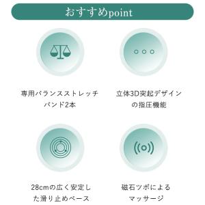 爆買 ツイストボード ツイストプレート ゴムひ...の詳細画像1