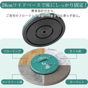 爆買 ツイストボード ツイストプレート ゴムひ...の詳細画像4