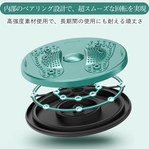 爆買 ツイストボード ツイストプレート ゴムひ...の詳細画像5
