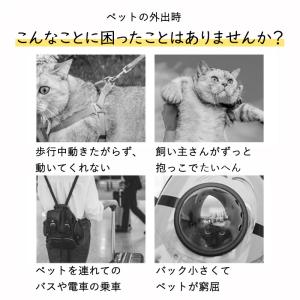 爆買 ペットキャリー ペットキャリーバッグ 猫...の詳細画像2