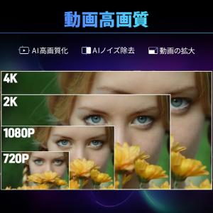 多機能画像・動画処理ソフト Digiarty ...の詳細画像2