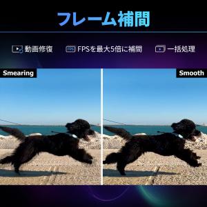 多機能画像・動画処理ソフト Digiarty ...の詳細画像3