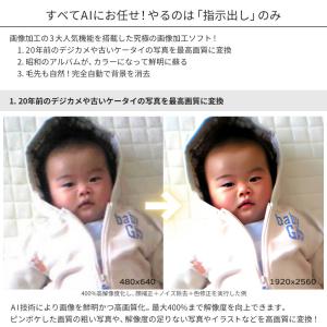 画像加工ソフト MEDIA NAVI AVCL...の詳細画像2
