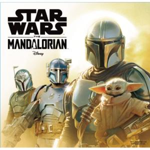 スター・ウォーズ マンダロリアン フェアウェイ...の詳細画像5
