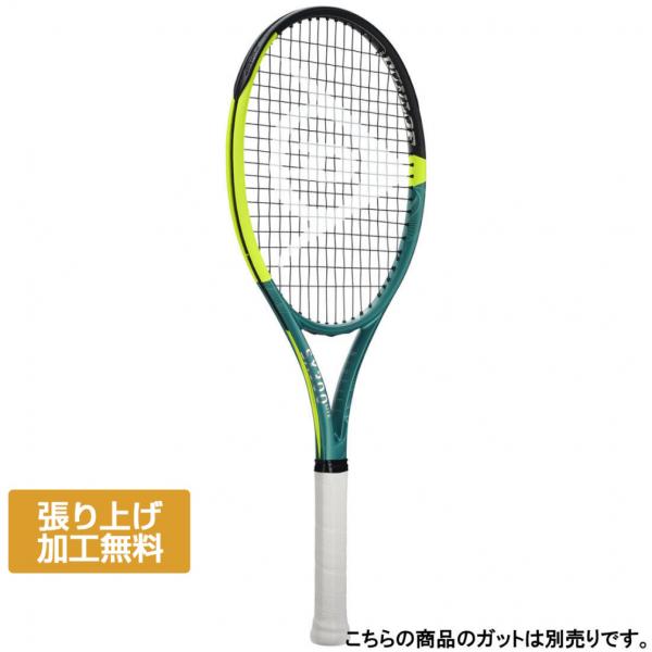 ダンロップ 国内正規品 25SX 300 ライト DUNLOP SX 300 LITE DS2250...