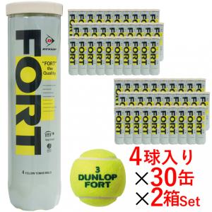 DUNLOP（ダンロップ） DUNLOP FORT 4球 5ダースセット 15缶60球 テニス