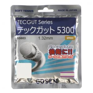 ゴーセン TECGUT 5300 ナチュラル SS603NA ソフトテニス ストリング GOSEN｜alpen-group