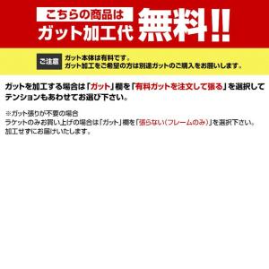 ヨネックス NANOFLARE 800 PRO...の詳細画像1