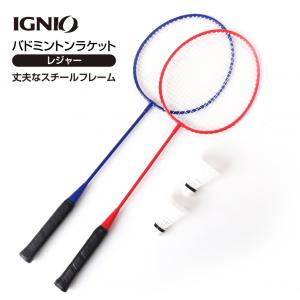 リーニン ハルバーテック9000 AYPU021-4 バドミントン 未張り リーニン ハルバーテック9000 AYPU021-4 バドミントン 未張り