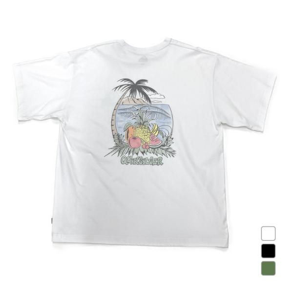 クイックシルバー メンズ サーフ 半袖Ｔシャツ FRUITS ISLAND ST QST251606...